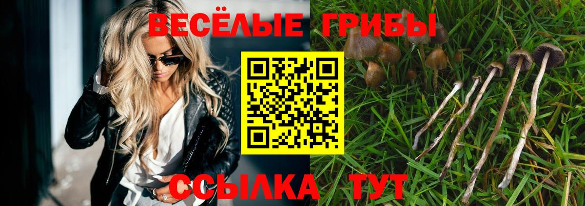 Псилоцибиновые грибы Psilocybine cubensis Каспийск