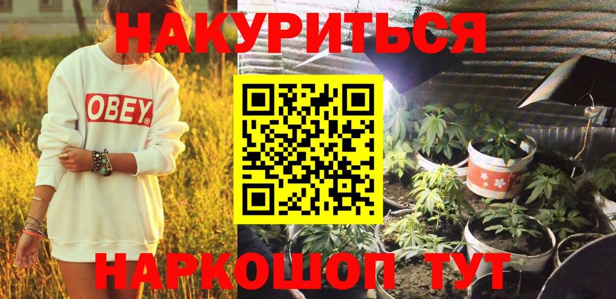 Каспийск  Бошки марихуана тримм  Вход с VPN  Шишки марихуана VHQ  Каннабис семена  Канабис Bruce Banner 